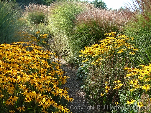 Ryton Nature Planting